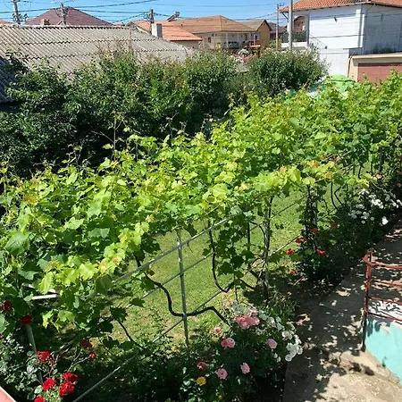 Casa Pestelui Două Mai