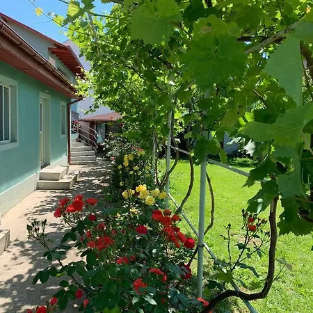 Casa Pestelui Guest house *
